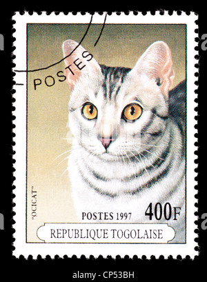 Timbre-poste du Togo d'une race de chat ocicat. Banque D'Images