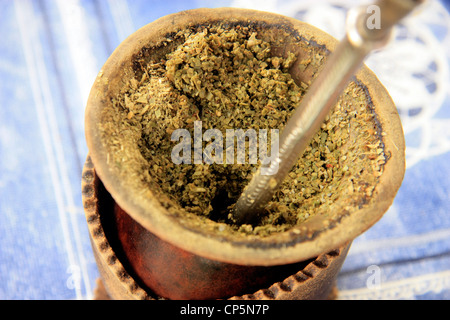 Imprégné de feuilles de thé maté, boisson traditionnelle de l'Amérique du Sud Banque D'Images