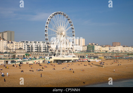 Le front de mer et la roue à Brighton, sur la côte du Sussex de l'Est Banque D'Images