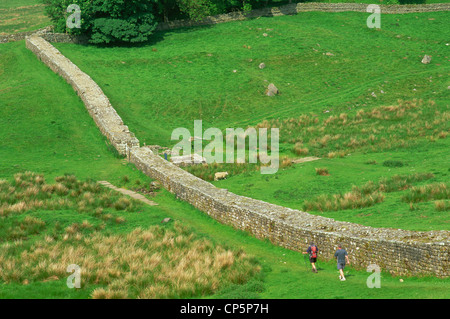 Angleterre, Northumbrie, mur d'Hadrien, vues près de Fort romain de Housesteads Banque D'Images