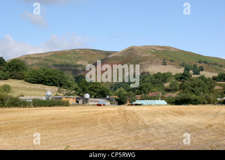 Long Mynd hills ferme peu Stretton Shropshire England UK Banque D'Images