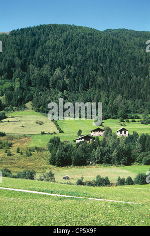 Trentin-haut-Adige - Val di Sole (Val) - Peio Peio (Pejo, TN), Celledizzo village. Banque D'Images