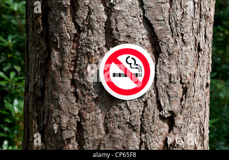 panneau interdit de fumer collé sur le tronc d'arbre dans la forêt, norfolk, angleterre Banque D'Images