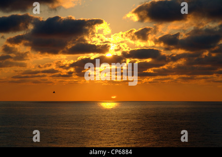 Le coucher du soleil, Zmiinyi Island, l'île aux Serpents, de la mer Noire, Odessa, Ukraine, Europe de l'Est Banque D'Images