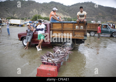 L'Equateur Côte Pacifique Puerto Lopez village de pêche de capture étant débarqué. matin Banque D'Images