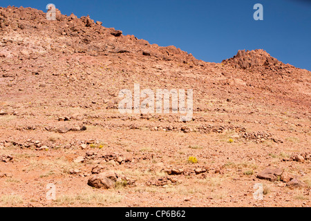 Terrasses sur le terrain au-dessus d'un village berbère dans l'Anti Atlas montagnes du Maroc, l'Afrique du Nord, affectée par la sécheresse. Banque D'Images