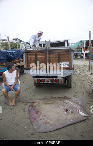 L'Equateur Côte Pacifique Puerto Lopez village de pêche de capture étant débarqué. matin Banque D'Images