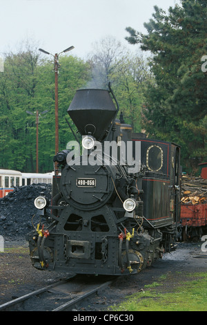 Chemin de fer, la Hongrie xxe siècle chemin de fer pour enfants (Gyermekvasut) à Budapest. Locomotive à vapeur en service MAVAG 490 056 Banque D'Images