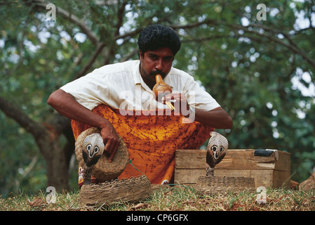 Sri Lanka, charmeur de serpent Banque D'Images