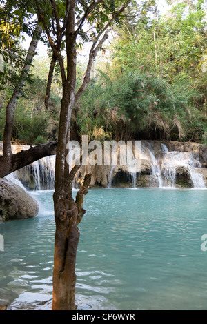 La cascade à plusieurs niveaux de Kuang Si dans le parc de la forêt du même nom (Luang Prabang - Laos). La cascade de Kuang Si multiniveaux (Laos). Banque D'Images