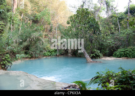 La cascade à plusieurs niveaux de Kuang Si dans le parc de la forêt du même nom (Luang Prabang - Laos). La cascade de Kuang Si multiniveaux (Laos). Banque D'Images