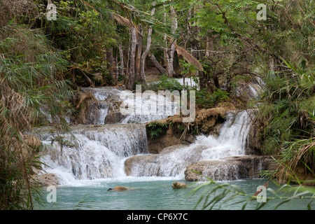 La cascade à plusieurs niveaux de Kuang Si dans le parc de la forêt du même nom (Luang Prabang - Laos). La cascade de Kuang Si multiniveaux (Laos). Banque D'Images