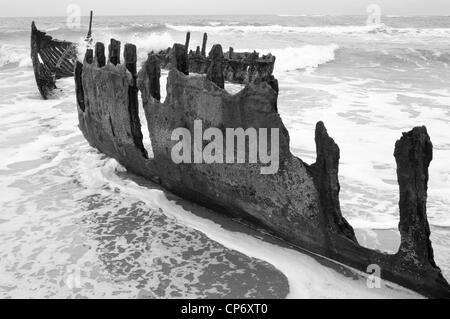 Des naufragés - Vieux naufrage sur une plage (noir et blanc). Moffat Beach, Queensland (QLD), l'Australie Banque D'Images