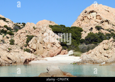 La plage de Cala Coticcio dans l'île de Caprera en parc national de l'archipel de La Maddalena, en Sardaigne, Italie Banque D'Images