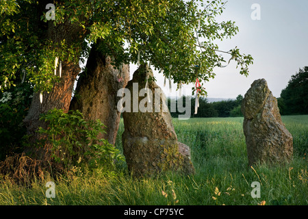 Les 3 pierres / menhirs d'Oppagne près de Wéris, Ardennes Belges, Luxembourg, Belgique Banque D'Images