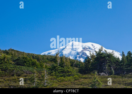 Le sommet du Mont Rainier culminant jusqu'au-dessus du parc de pulvérisation à Mount Rainier National Park, Washington, USA. Banque D'Images