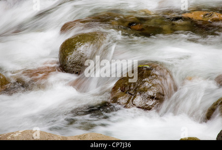 Rivière qui coule avec un lit rocheux en Dominique Antilles Banque D'Images