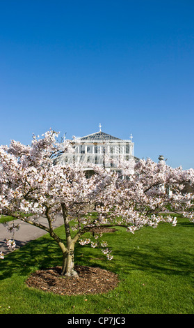 Tree laden avec fleur de printemps et bâtiment victorien répertorié 1 Maison tempérés Royal Botanic Gardens Kew London angleterre Europe Banque D'Images