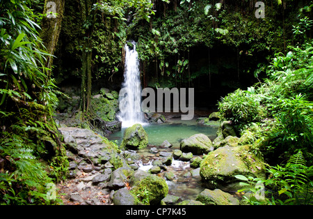 La piscine d'Emeraude et cascade dans la forêt tropicale de la Dominique Morne Trois Pitons dans les Antilles Banque D'Images