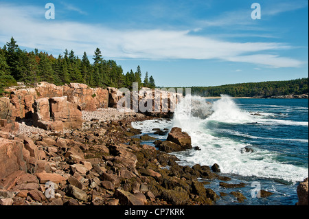 Paysage côtier, Ocean Drive, l'Acadie NP, Maine, ME, USA Banque D'Images