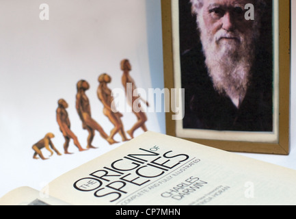 Portrait de Charles Darwin et son ouvrage l'origine des espèces, Londres Banque D'Images