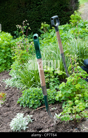 Dans le jardin clos de Norton Conyers, Ripon, Yorkshire du Nord Banque D'Images