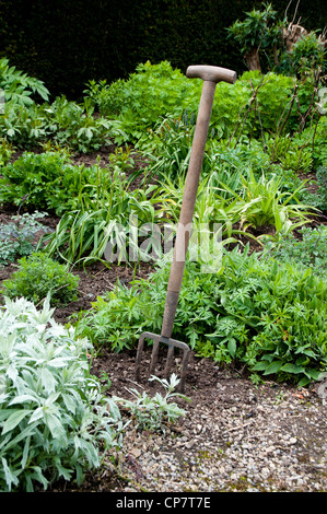 Dans le jardin clos de Norton Conyers, Ripon, Yorkshire du Nord Banque D'Images