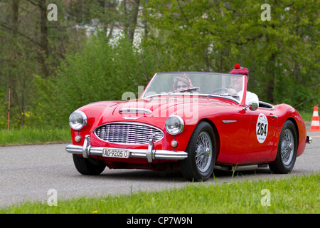 Vintage Car Austin Healey 3000 MK1 de 1960 au Grand Prix de Mutschellen, SUI le Avril 29, 2012. Banque D'Images