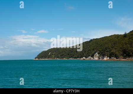 L'île du Sud Nouvelle-zélande paysage près de Tonga Quarry Parc national Abel Tasman Banque D'Images