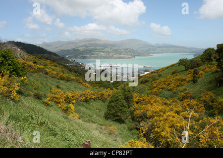 Lyttelton, Nouvelle-Zélande. Harbour vu de Mount Pleasant Banque D'Images