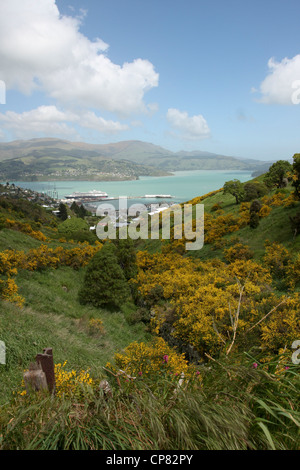 Lyttelton, Nouvelle-Zélande. Harbour vu de Mount Pleasant Banque D'Images