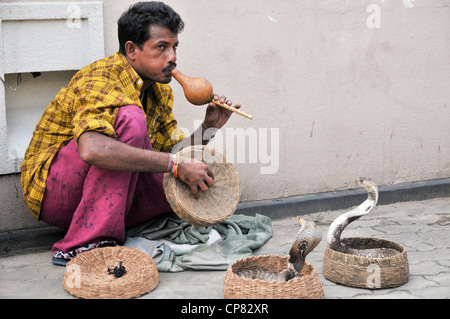 Un snakecharmer, Sri Lanka. Il est charmant deux cobras à lunettes dans des paniers. Banque D'Images