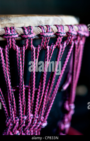 Résolution élevée de djembe tête avec petits détails Banque D'Images