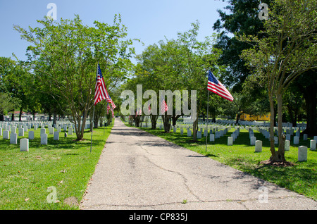 De la Louisiane, Bâton Rouge. Cimetière national, créé en 1867. Allée bordée d'un drapeau. Banque D'Images