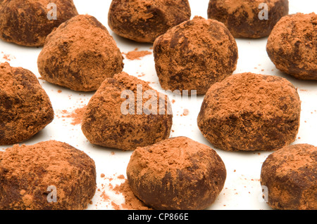 Bande de truffes au chocolat avec du cacao en poudre sur une surface blanche Banque D'Images