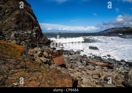 Scènes de plage d'état de Goat Rock à l'embouchure de la rivière russe dans le comté de Sonoma sur la côte nord de la Californie Banque D'Images