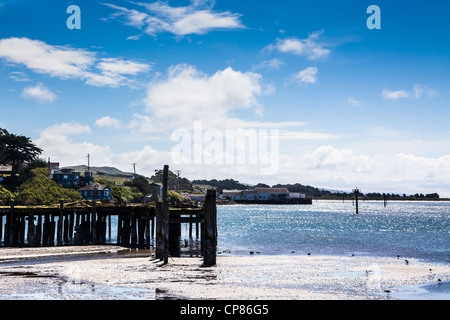 Une ancienne jetée à Bodega Bay, Californie Banque D'Images