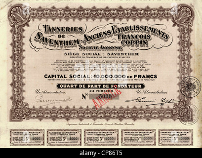 Historic Stock certificat, Historische Aktie über 250 Francs belge, les Tanneries de Saventhem-Anciens Etablissement François C Banque D'Images