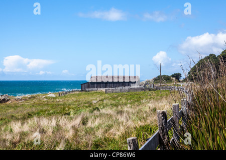 Coulisses le long de la côte nord de la Californie dans le comté de Mendocino Banque D'Images