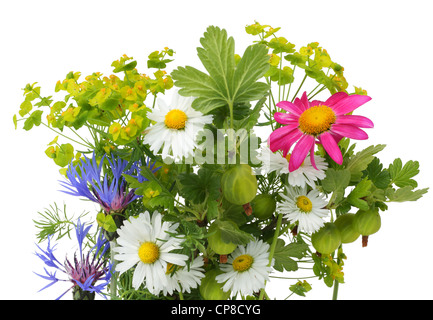 Carte postale bouquet juin avec diverses plantes, isolé sur blanc. Banque D'Images