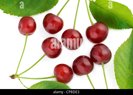 8 Cerises, quatre feuilles -isolé sur le blanc. Banque D'Images