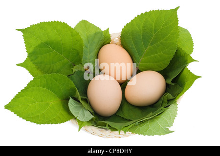 Simple Pâques oeufs rural dans un nid de feuilles vertes. Isolé sur blanc. Banque D'Images