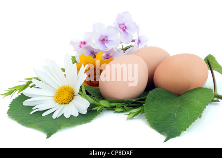 Simple Pâques oeufs rural dans un nid de fleurs d'été, isolé sur blanc. Banque D'Images