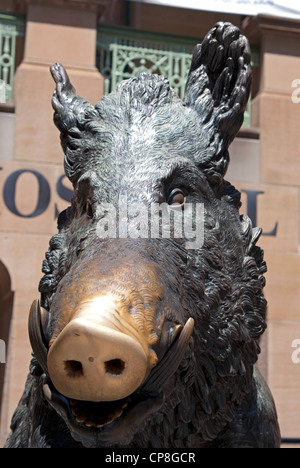 Statue en bronze de Il Porcellino en face de l'hôpital de Sydney, Macquarie Street Banque D'Images