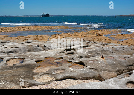 Les roches érodées sur la rive de Botany Bay, New South Wales, Australie Banque D'Images