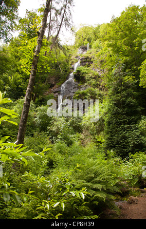 Canonteign falls sur le canonteign estate dans la Teign Valley sur le bord du Dartmoor National Park, Devon, UK. Banque D'Images