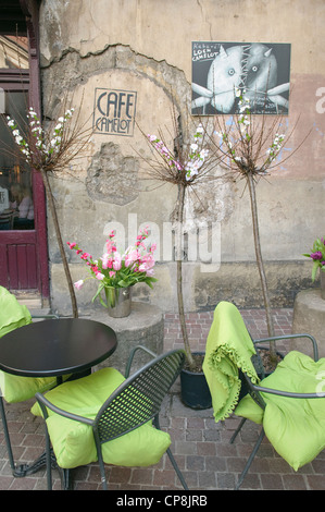 Camelot Cafe à St Thomas Street, Cracovie, Pologne. Banque D'Images