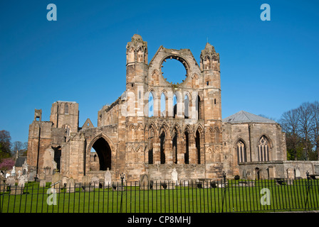 Cathédrale d'Elgin, Moray, région de Grampian. L'Écosse. 8213 SCO Banque D'Images