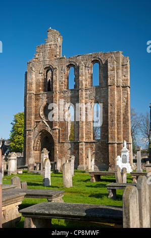 Cathédrale d'Elgin, Moray, région de Grampian. L'Écosse. 8217 SCO Banque D'Images