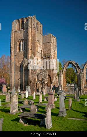 Cathédrale d'Elgin, Moray, région de Grampian. L'Écosse. 8219 SCO Banque D'Images